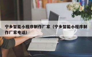 济南宁乡智能小程序制作厂家（宁乡智能小程序制作厂家电话）