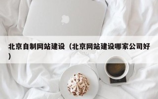 济南北京自制网站建设（北京网站建设哪家公司好）